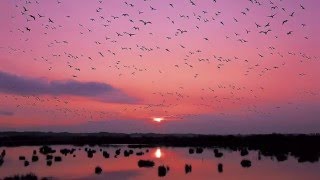 ライバルはイタリア 西尾まり 検索動画19 ライバルはイタリア 西尾まり 検索動画 19