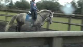 OWEN FLATWORK MVOIE.wmv