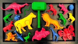 Membersihkan Hewan Sapi, Bebek, Angsa, Ayam, Gajah, Simpanse, Singa, Unta, Buaya, Kangguru