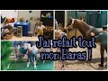 Visite de mon haras 3 semaines pour tout refaire  