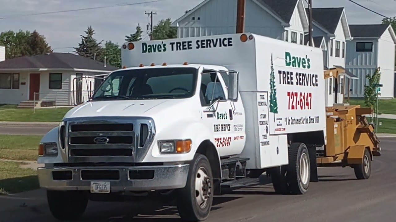 Tree Service, Great Falls MT | Dave's Tree Service