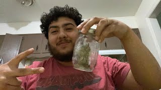 420 smoke 💨 sesh