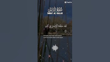 تلاوة خاشعة عطرة مباركة للشيخ سعد الغامدي ماتيسر من سورة البلد