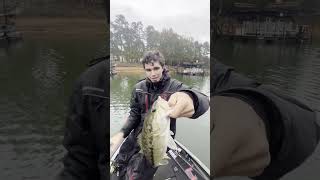 Days In A Row (Day 84) Redemption...  #bassfishing #fishing #bass #shorts