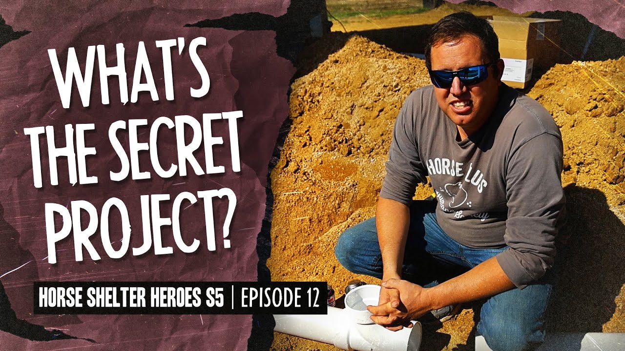 Horse Shelter Heroes S5E12 - What's the Secret Project?