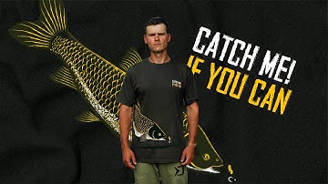 Delphin Catch me! AMUR