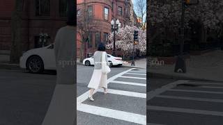 spring has arrived in boston 🌸🐝🌷🍓⛅️ (sike it’s about to be cold again)