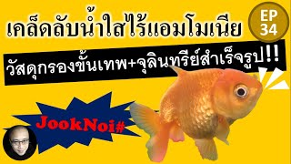 เคล็ดลับน้ำใส ไร้แอมโมเนีย Yino 8 เหลี่ยม วัสดุกรองขั้นเทพ และจุลินทรีย์สำเร็จรูป #ปลาทอง EP34