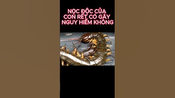 Con rết gây hại gì đến con người #shorts