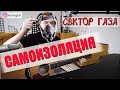 Самоизоляция (Демобилизация) - Сектор Газа/ Максим Кузнецов, кавер, разбор на гитаре