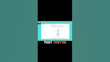 The Tree of Value #substack #shorts