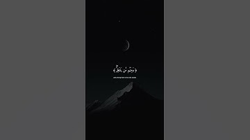 من المؤمنين رجال صدقوا ما عاهدوا الله عليه | بدر التركي سورة الأحزاب | #quran #قرآن