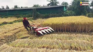 Paddy 🌾 cotting mission| ಭತ್ತ ಕುಯುವಯಂತ್ರ #VST #agriculturelife #agriculture