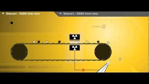 STEINERT X-Ray Sorting System XSS
