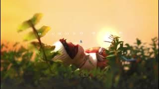 NoCap - Diamond Blick