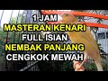 1 JAM MASTERAN KENARI FULL ISIAN TEMBAKAN CENGKOK MEWAH COCOK UNTUK PANCINGAN KENARI YG SUSAH GACOR