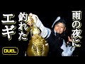 【エギング】雨の夜に釣れたエギはコレ！