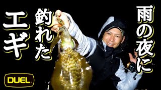 【エギング】雨の夜に釣れたエギはコレ！
