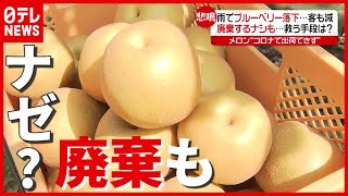 【ピンチ】ナゼ？ 雨やコロナで果物 “廃棄”も…救う手段は
