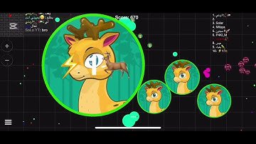 Bitty ofc - blob.io macro 