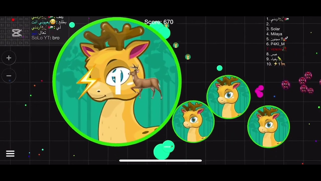 Bitty ofc - blob.io macro 