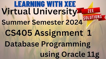 CS405 Database Programming using Oracle 11g Assignment 1 Summer Semester 2024 Virtual University