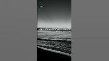 سورة الجمعة • مدنية • بصوت ناصر القطامي | عدد الآيات: 11 #قرآن #Quran #تلاوة #قرآن_كريم #الجمعة