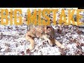 How Not to Coyote Trap:  A Lesson Learned!