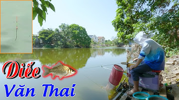 Câu Cá Ký Sự - Câu Cá Diếc Sông Văn Thai