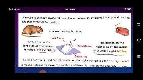 Class -2 Computer Lesson-5 (Part -1)