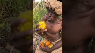 Il a trouvé son paradis dans la forêt #Nature #VieSauvage #Survie