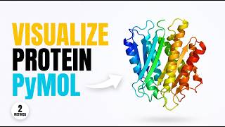 PyMOL Tutorial for Beginners | Visualize Protein Structure