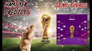 FIFA World Cup 2022 Semi Finals! We know winners! [Animal's Prediction] by Have you seen my hamsters? 830 views 1 year ago 1 minute, 58 seconds