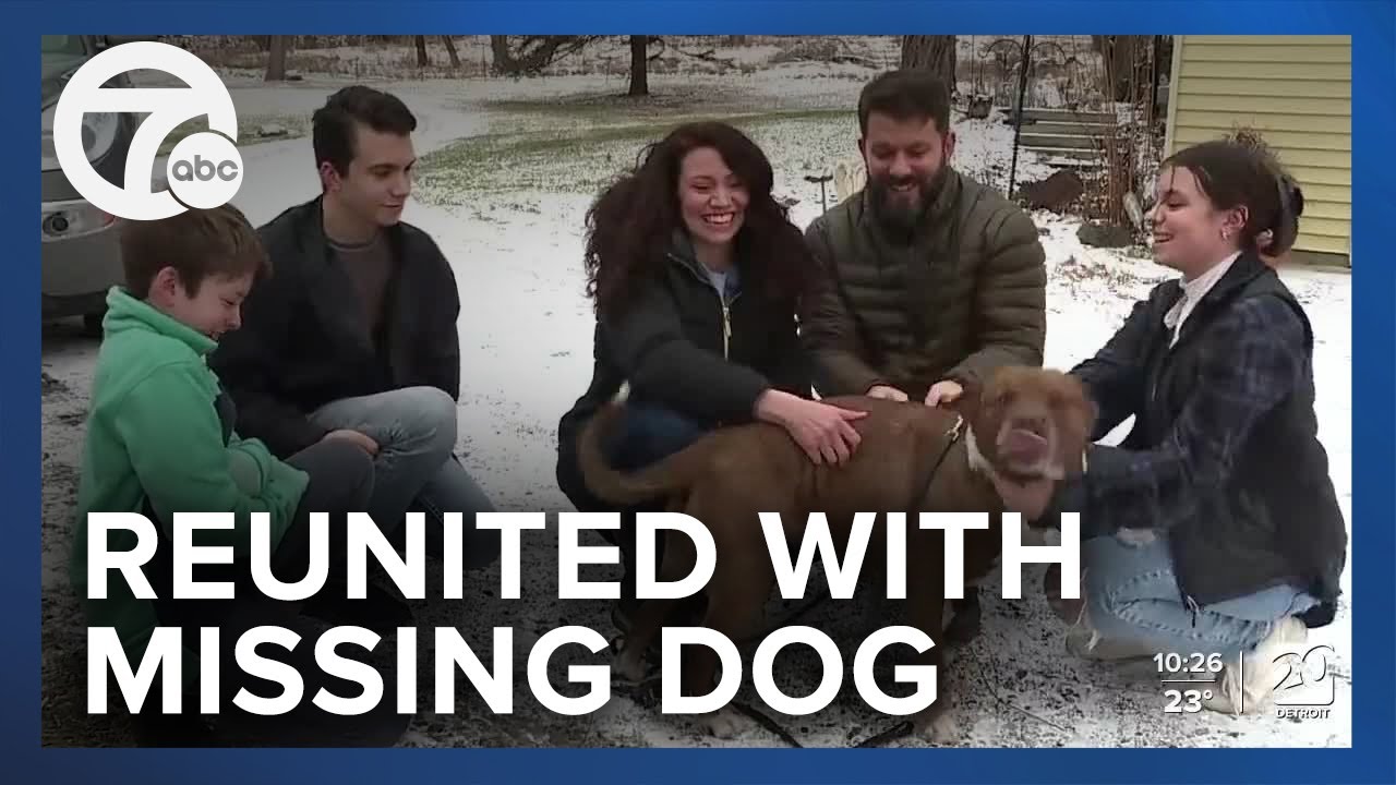 Family reunited with dog that disappeared 6 months ago & found 60 miles ...