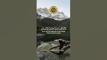 سورة الحجرات الآية 11 تلاوة شيخ الغامدي #اكسبلور