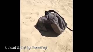 Oh WOW it´s a  (Best VINES)