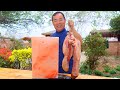 Huge Beef Tongues Sizzling On Salt Brick, Original Taste Matches Secret Sauce | Uncle Rural Gourmet