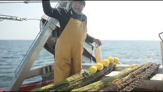 Net gains: from ocean waste to worth | Julius Baer | FT Partner Content