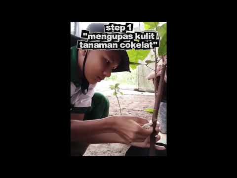 RAHFANSYAH ANUGRAH SIREGAR Kls  X ATP 2