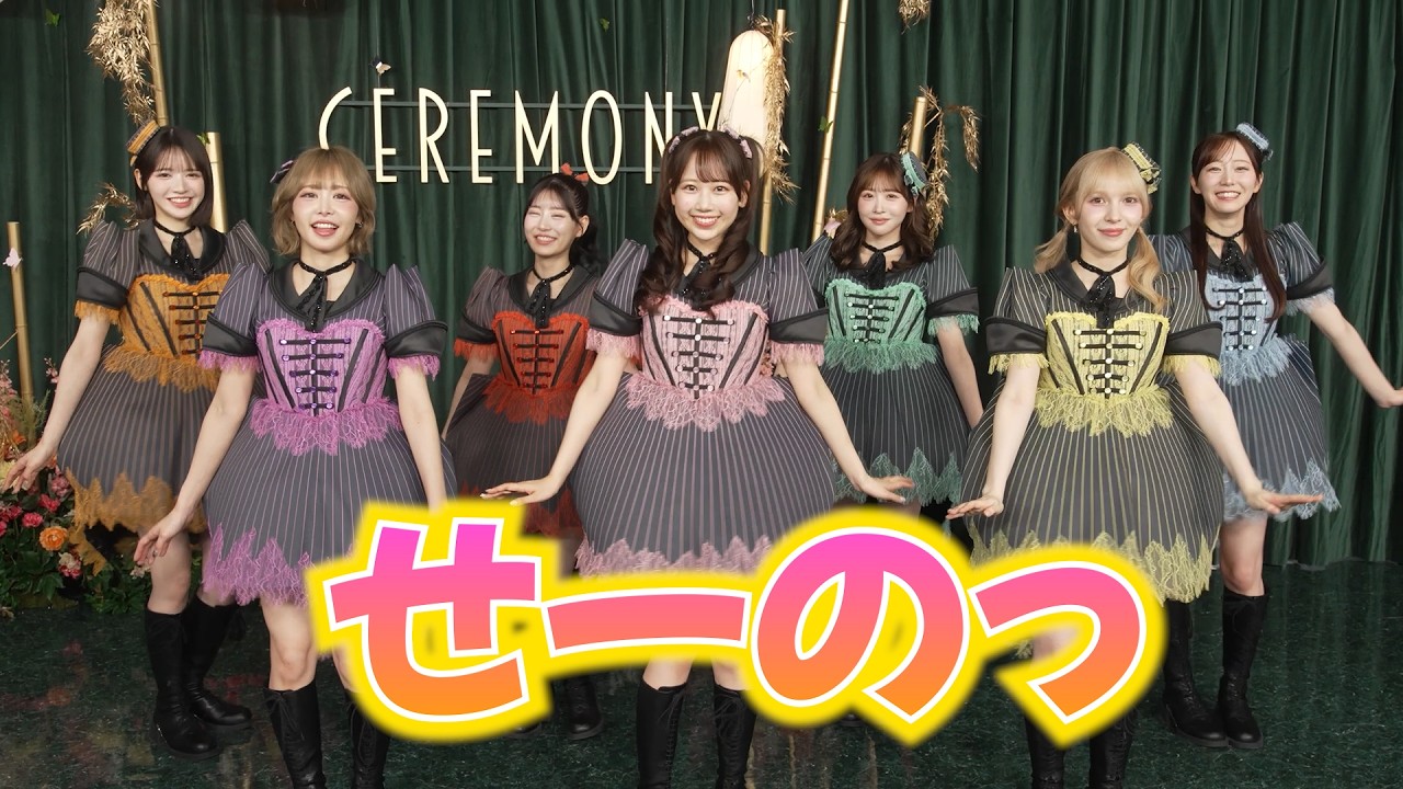 ねこFRUITS ZIPPER 4点まとめ FRUITS ZIPPER members all say 