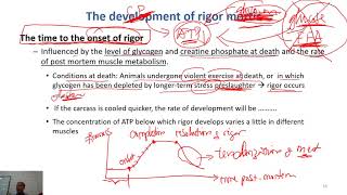 C4-04 the development of rigor mortis| Meat Technology
