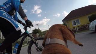 20170427 Oskar the director