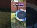 PACEARTH 40 Inch Saucer Tree Swing Flying 900lb Weight Capacity 2 Added Hanging Straps Adjustable Mu