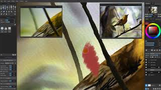 What's new in Rebelle 3 | Part 12: The Preview and Reference Panels