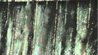 Rain Sounds For Sleep(15 Minutes)