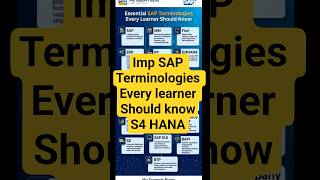 Essential SAP Terminologies every SAP Learner should know .#sapmm #sapfico #sapsd #abapprogramming