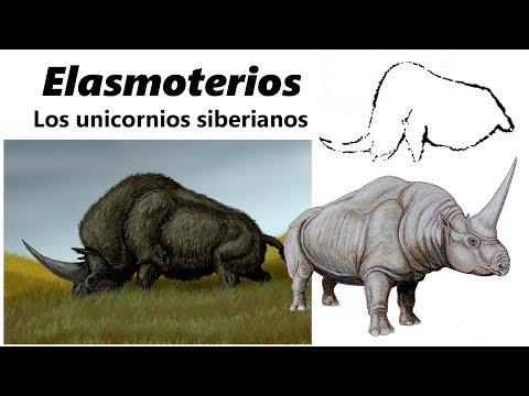 Vídeo: Los Unicornios Realmente Existían Al Menos En Siberia - Vista Alternativa