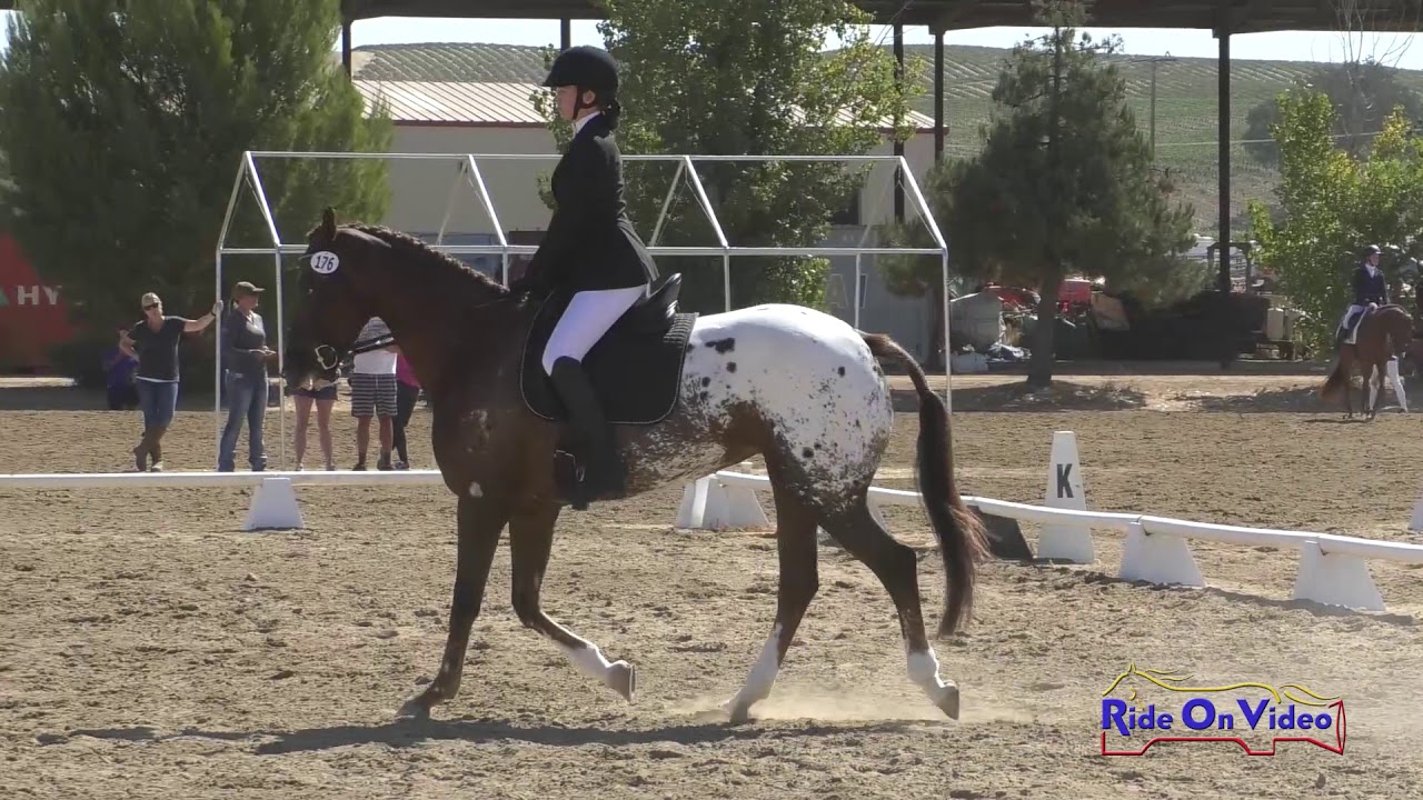 fiona moda 176D Fiona VanBuhler on Confetti's Cottontail JR Novice Dressage Twin Rivers Ranch Sept. 2019