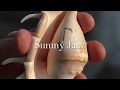 One Note Samba - Šumný Jazz (official video)