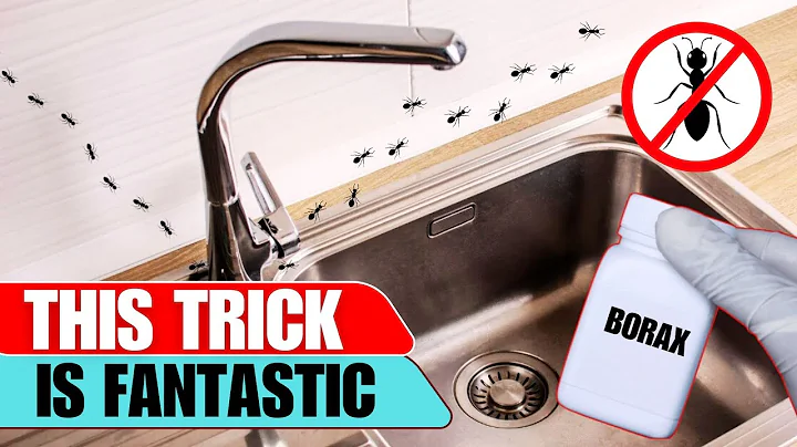 5 Genius Hacks to Eliminate Ants Around the Kitchen Sink (No Harsh Chemicals)
